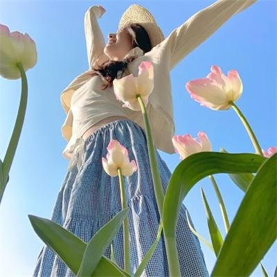 军犬麦克斯2：白宫英雄